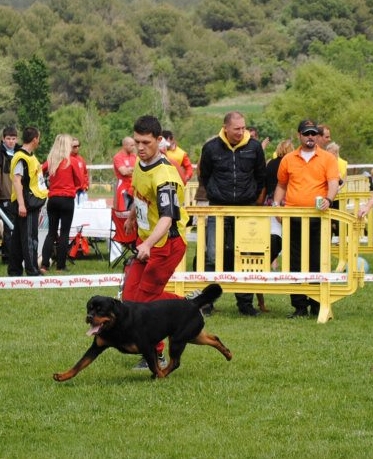 Asia Elite Rott