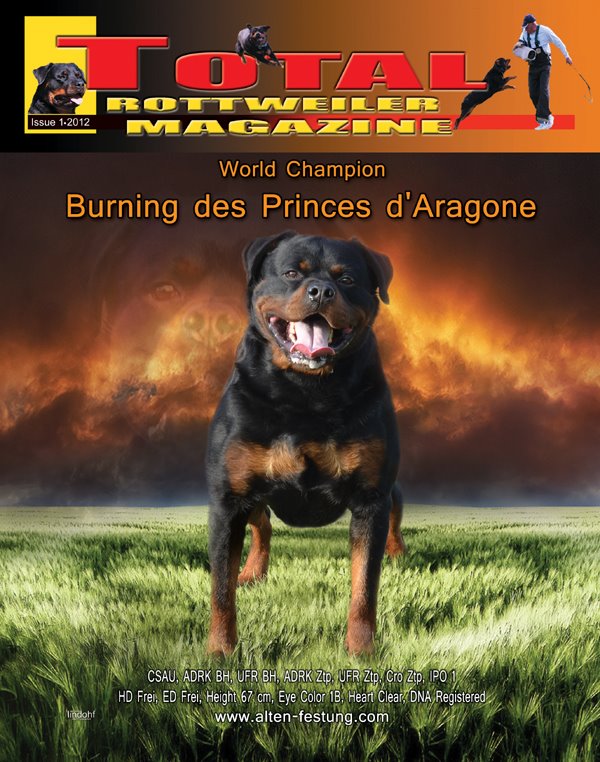 Burning des Princes d'Aragone