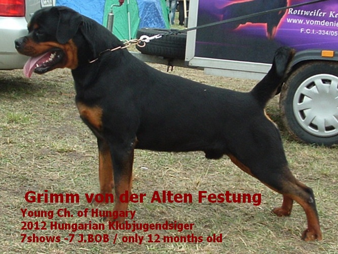 Grimm von der Alten Festung