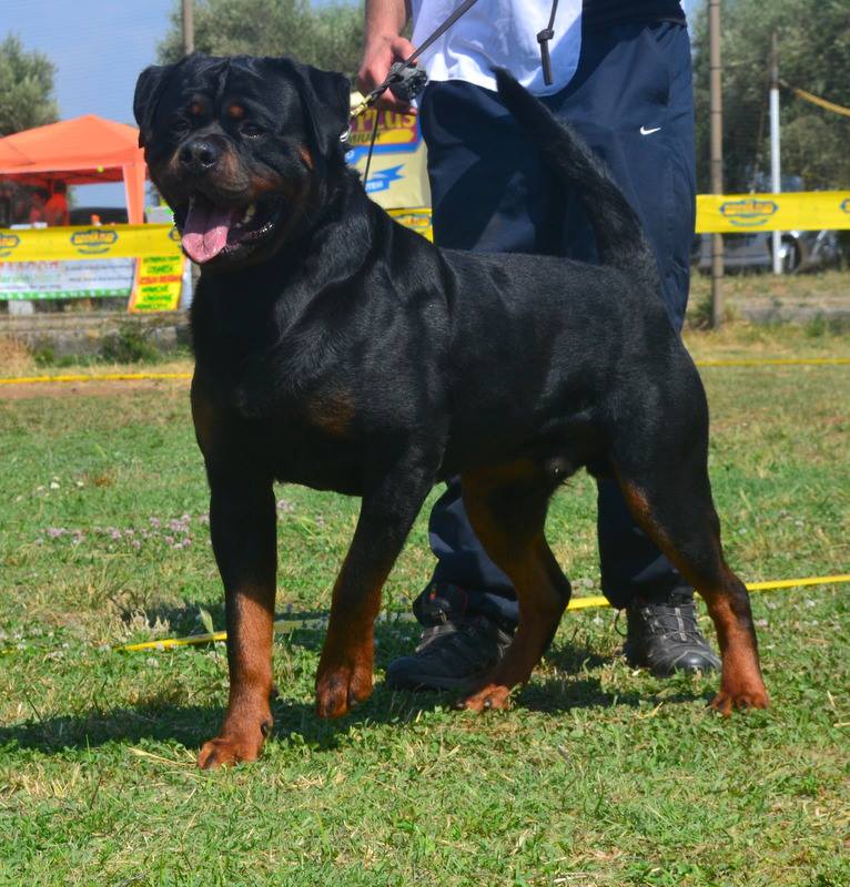 Balou