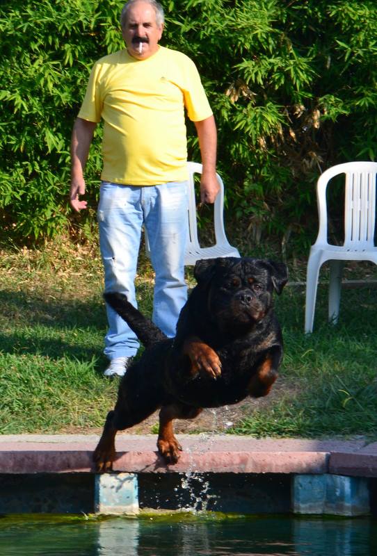 Balou