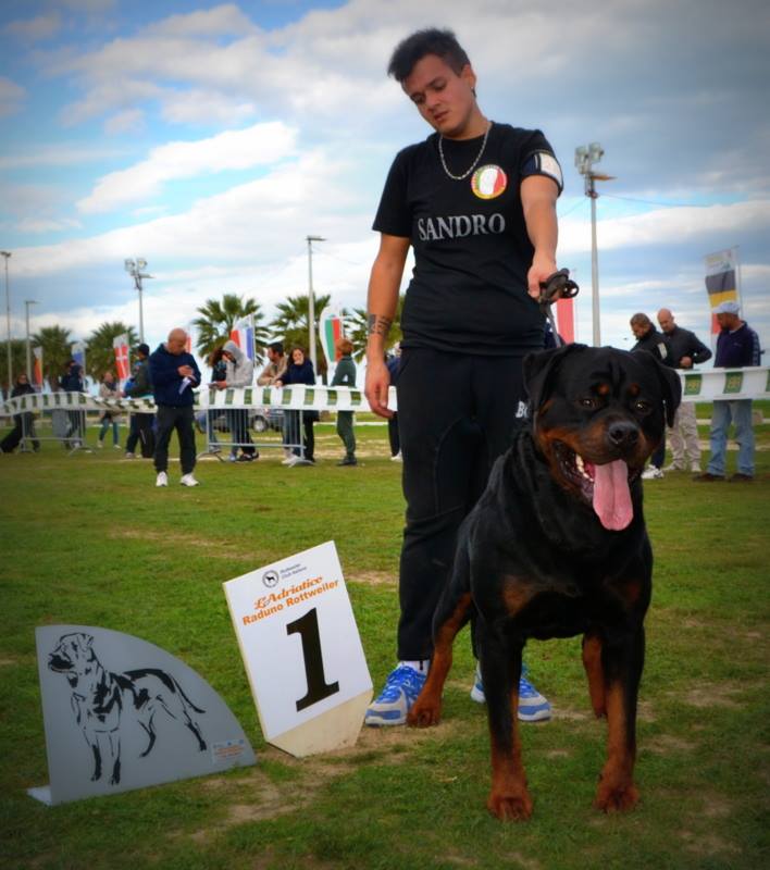 Balou