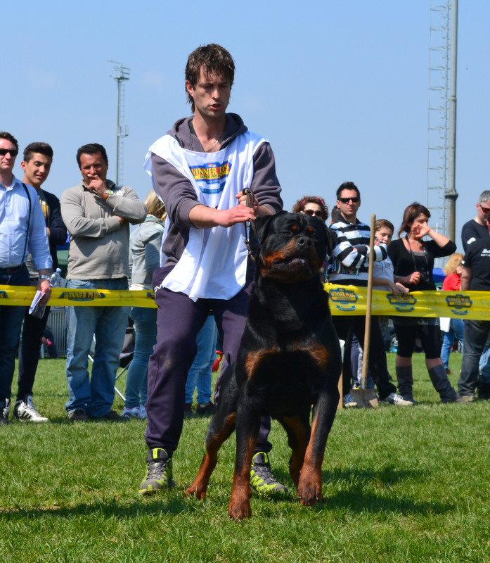 Balou