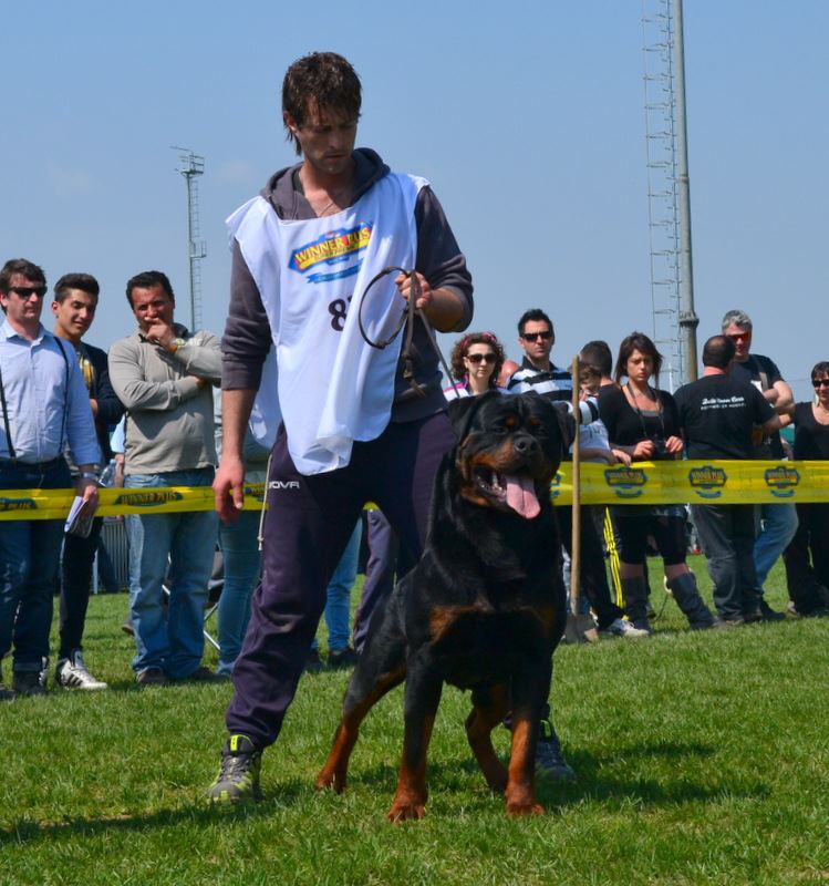 Balou