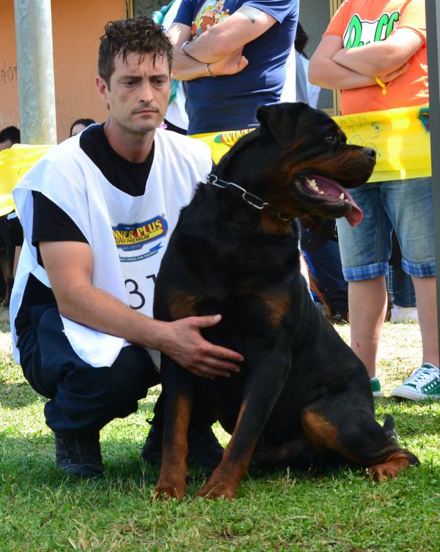 Balou