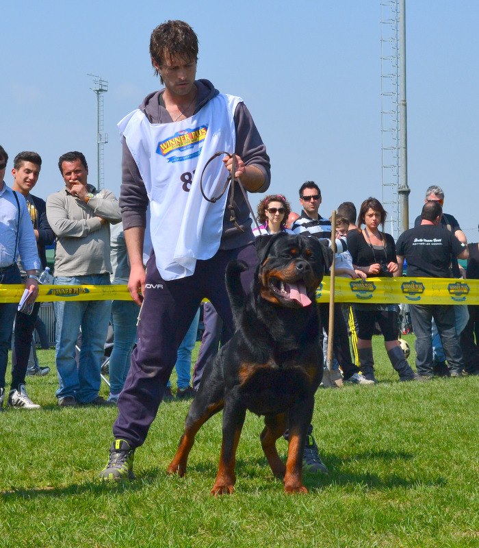 Balou