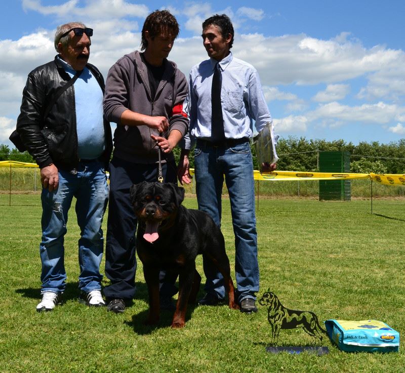 Balou