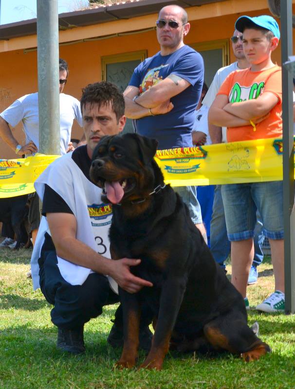 Balou