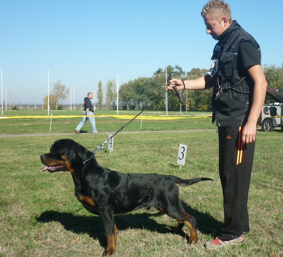 Lennon von der Alten Festung