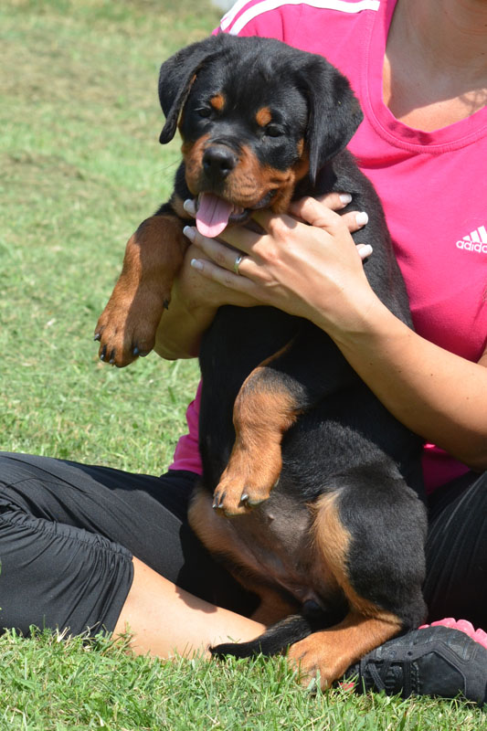 Penny von der Alten Festung