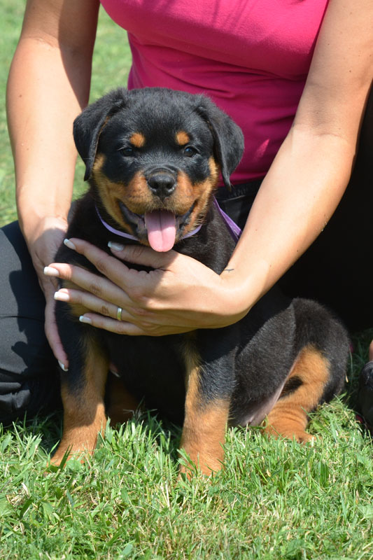 Ruby von der Alten Festung