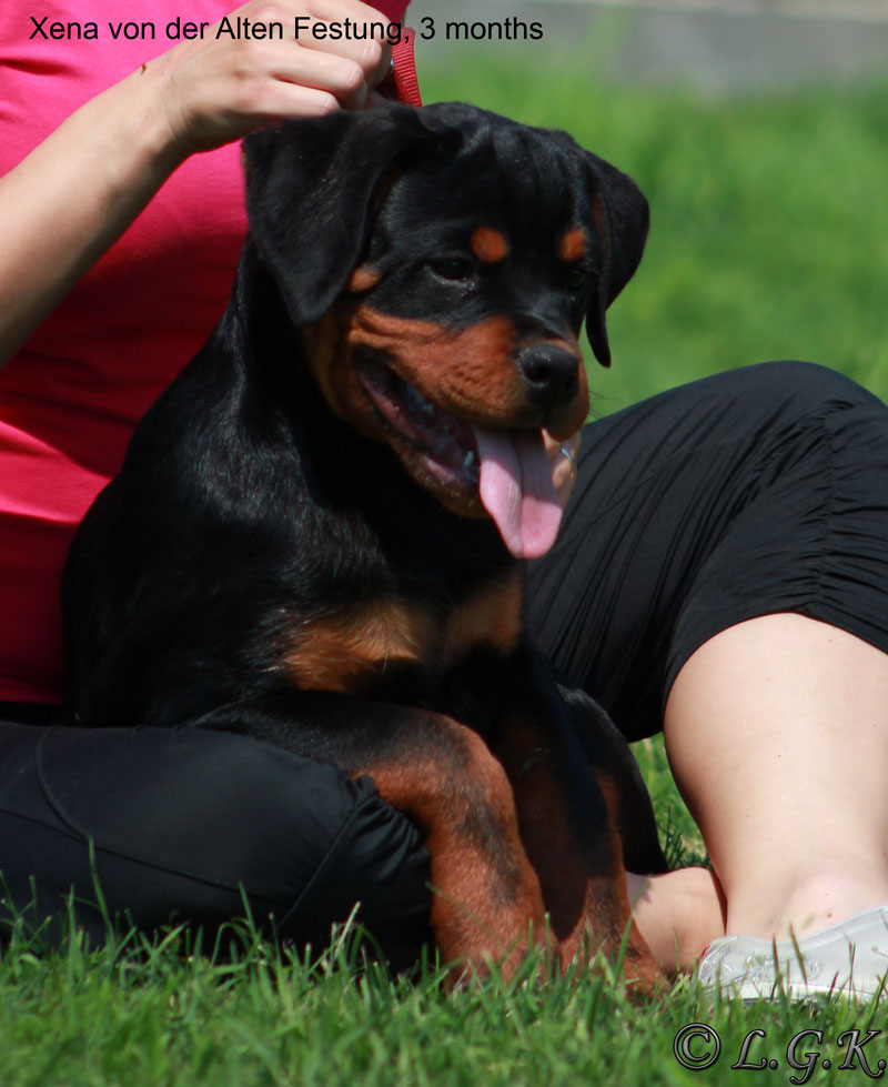 Xena von der Alten Festung