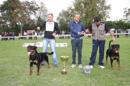 Astor von Junipera on Italy KS 2008