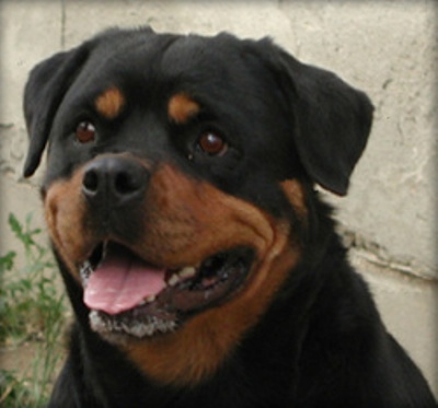 Rott Berger Lena